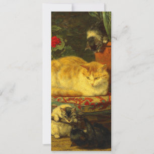 Kittens at Play Invitation