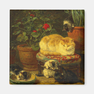 Kittens at Play Magnet