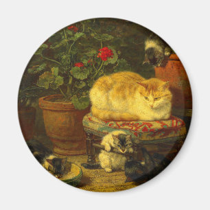 Kittens at Play Magnet