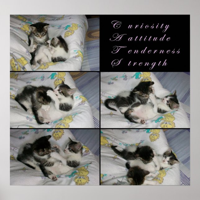 Kittens at Play Poster (Front)