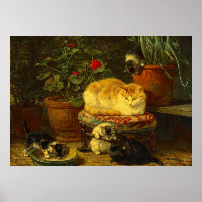 Kittens at Play Poster (Front)