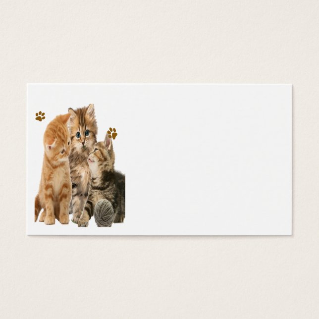 Kittens at play products (Front)