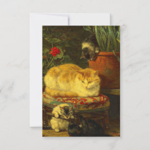 Kittens at Play RSVP Card