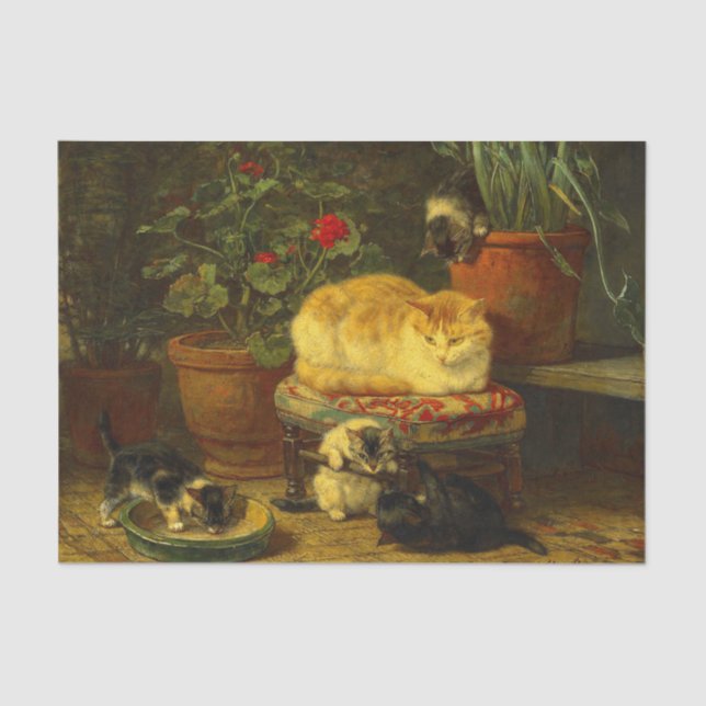 Kittens at Play Tissue Paper (Front)