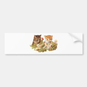 Kittens Bumper Sticker