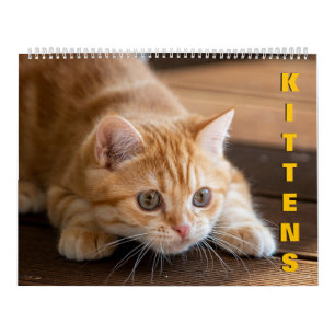 Kittens Calendar