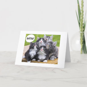 KITTENS CAN'T BELIEVE YOU ARE "OVER THE HILL" CARD