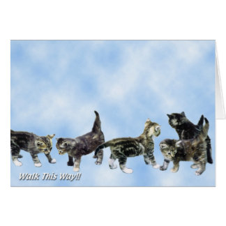 Kittens Card - Cute