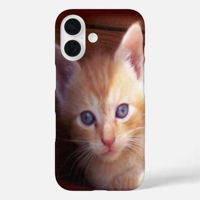 Kittens Case-Mate iPhone Case (Back)