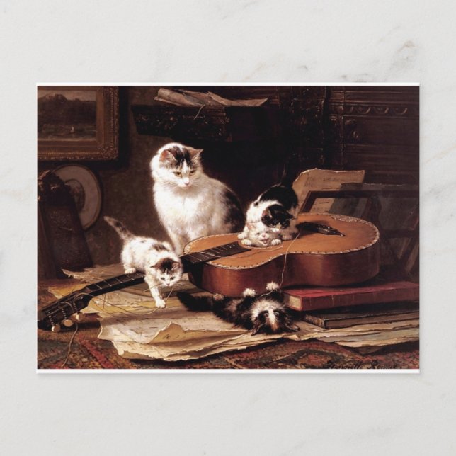 Kittens cat playing with guitar naughty cute postcard (Front)