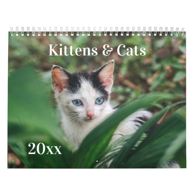 Kittens & Cats Calendar (Cover)