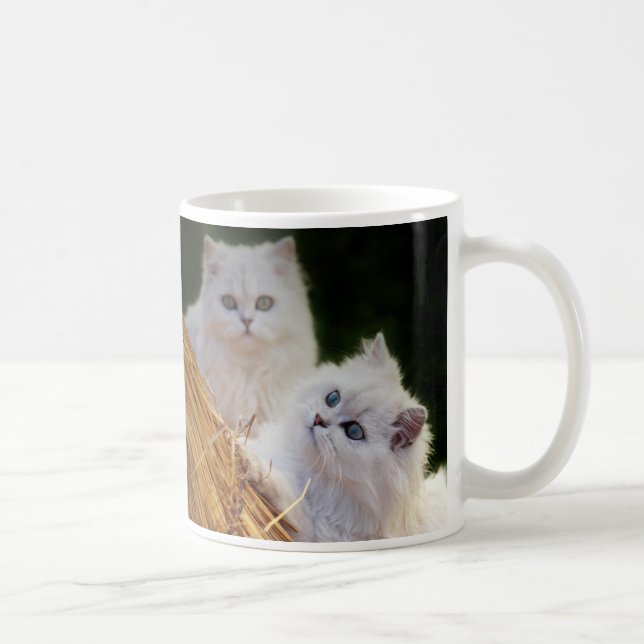 Kittens come play coffee mug (Right)