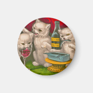 Kittens drinking and eating sardine fish magnet
