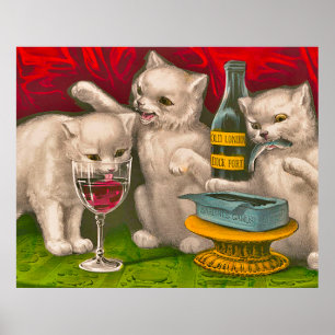 Kittens drinking and eating sardine fish poster