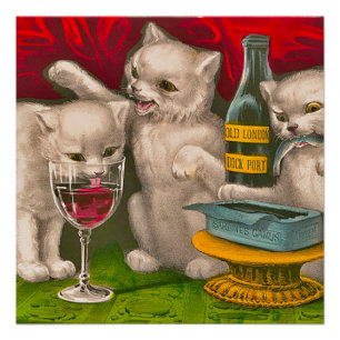 Kittens drinking and eating sardine fish poster