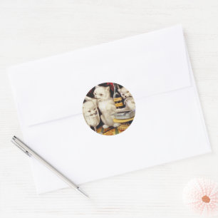 kittens enjoying a cat feast classic round sticker