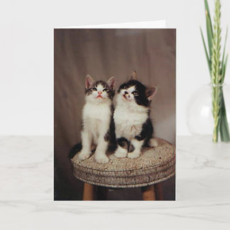 kittens, faithful friends card