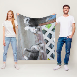 Kittens Fleece Blanket