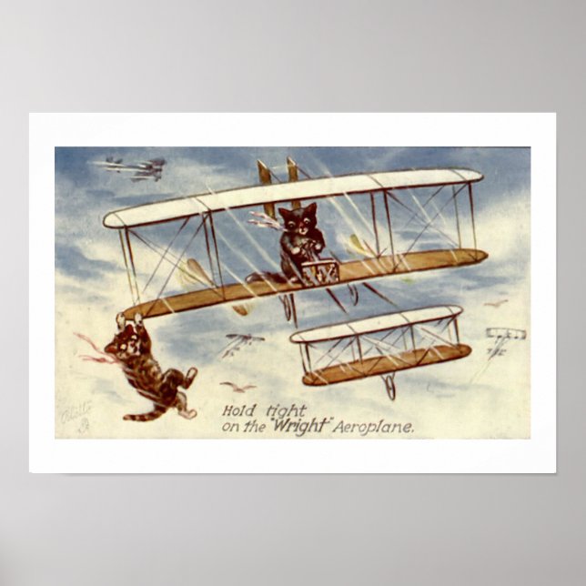 Kittens Flying Plane Wall Art (Front)