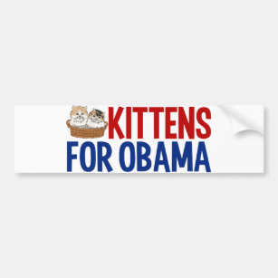 Kittens for Obama Bumper Sticker