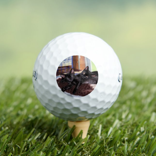 Kittens Golf Balls (Insitu Tee)