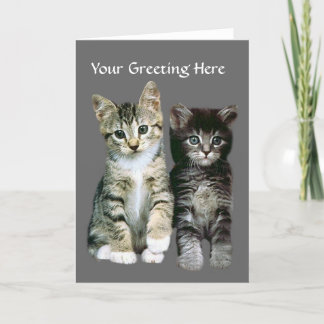 Kittens Greeting Card