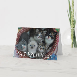 Kittens In A Basket Card