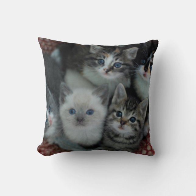 Kittens In A Basket Cushion (Front)