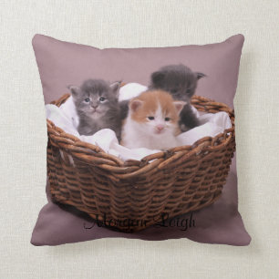 Kittens in a Basket Cushion
