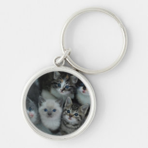 Kittens In A Basket Key Ring