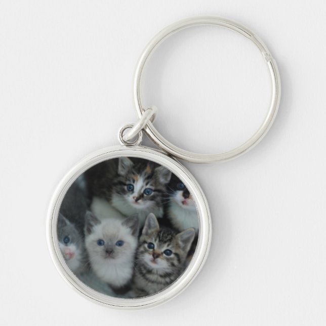 Kittens In A Basket Key Ring (Front)