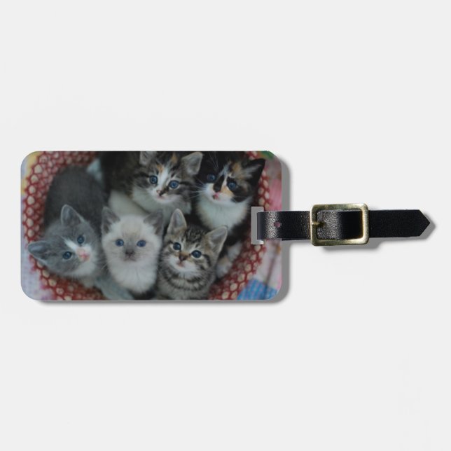 Kittens In A Basket Luggage Tag (Front Horizontal)