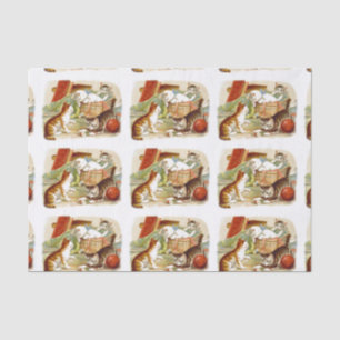 Kittens in a Basket Playing Tissue Paper