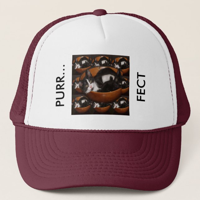 Kittens in a Bowl with Pattern Trucker Hat (Front)