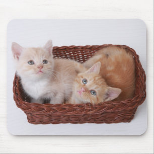 Kittens in basket mouse pad