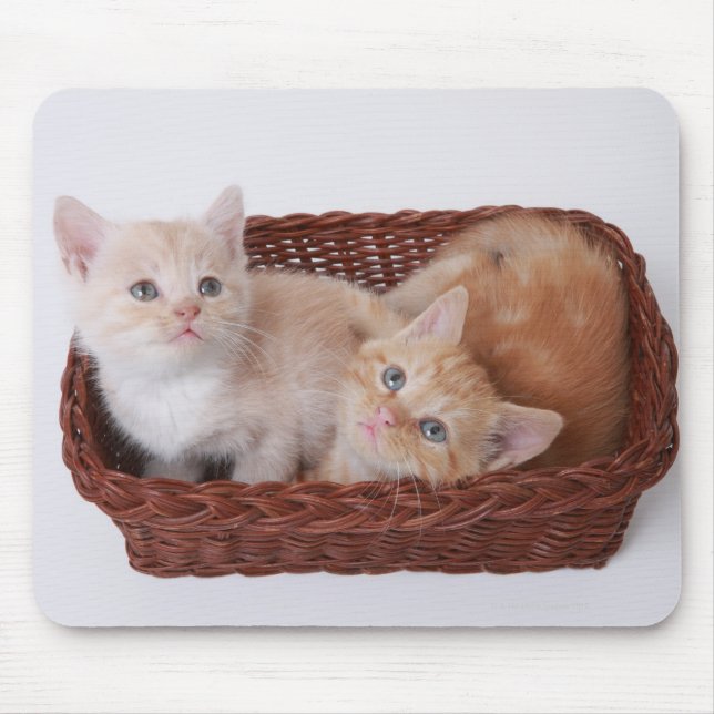 Kittens in basket mouse pad (Front)