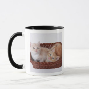 Kittens in basket mug