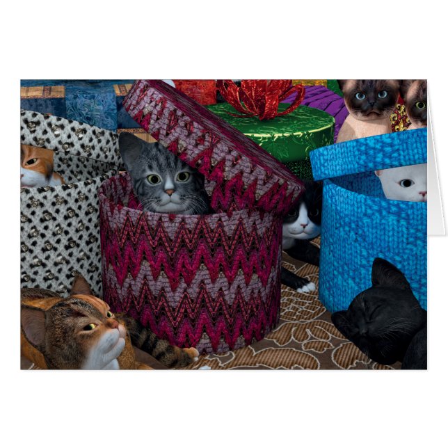 Kittens In Boxes (Front Horizontal)