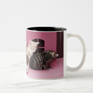 Kittens in doll's house Two-Tone coffee mug