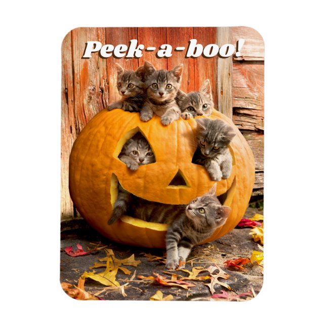Kittens in Jack-o-Lantern Magnet (Vertical)