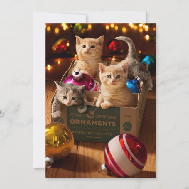 Kittens in Ornament Box Invitation (Front)