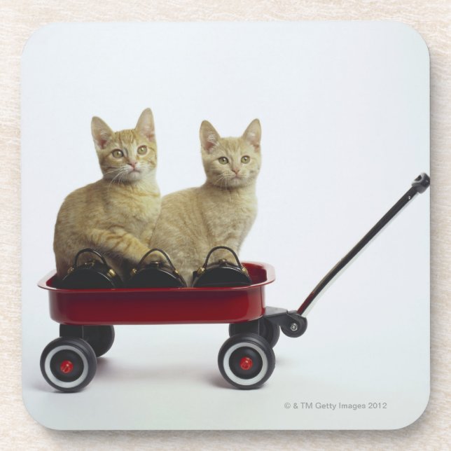 Kittens in wagon coaster (Front)