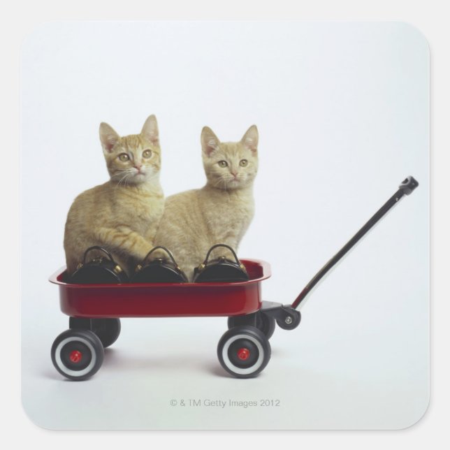 Kittens in wagon square sticker (Front)