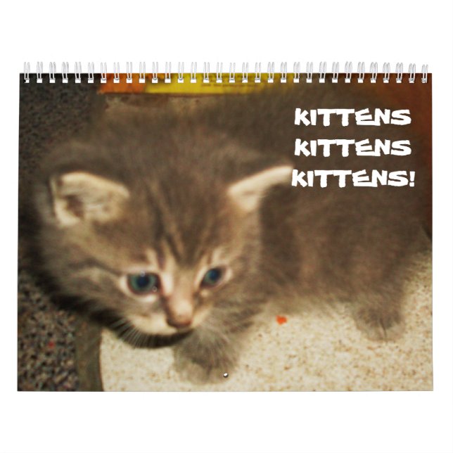 KITTENS, KITTENS, KITTENS! calendar (Cover)