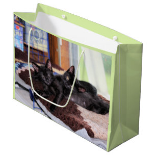 Kittens Large Gift Bag