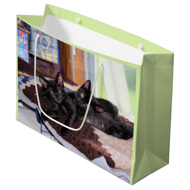 Kittens Large Gift Bag (Front Angled)