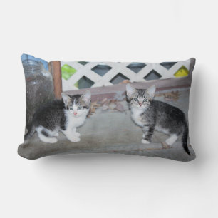 Kittens Lumbar Cushion