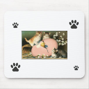 Kittens Mouse Pad