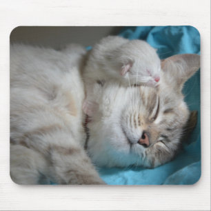 Kittens mum and son mouse pad