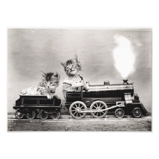 Kittens on a Train Photo Print